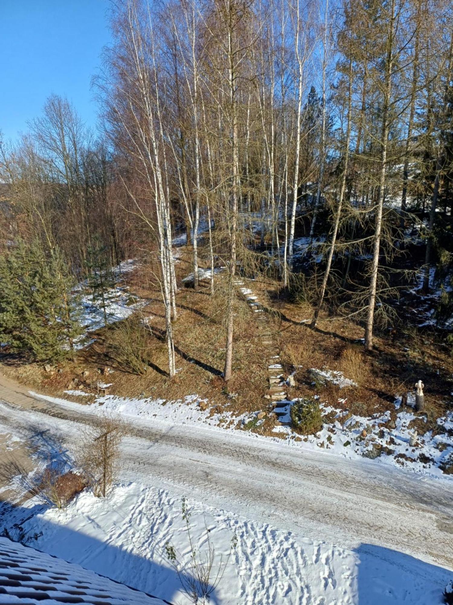 Agroturystyka Brzozowe Wzgorze Wlen Esterno foto